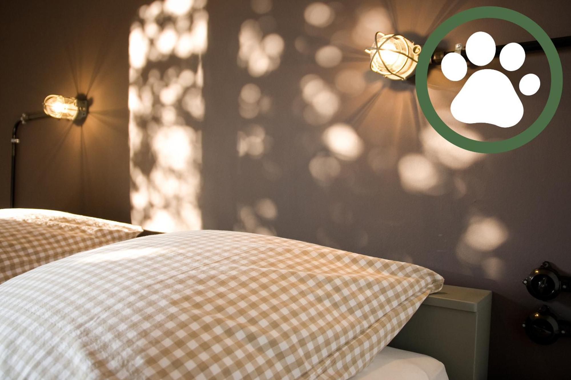 Harz Bnb Werkmeister Sankt Andreasberg Room photo